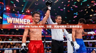 深入解析VPN Turbo APK，功能、风险与网络工程师的建议