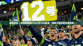 如何安全、合法地使用Proxy与VPN服务，网络工程师的实用指南