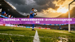 合理使用网络工具，构建安全高效的数字环境—谈VPN技术的合法应用与风险防范