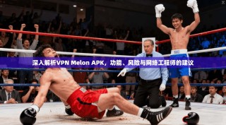 深入解析VPN Melon APK，功能、风险与网络工程师的建议