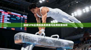 语音VPN业务的技术原理与应用前景探析