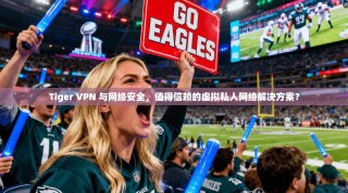 Tiger VPN 与网络安全，值得信赖的虚拟私人网络解决方案？