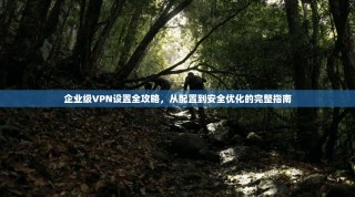 企业级VPN设置全攻略，从配置到安全优化的完整指南