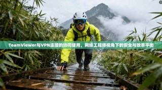 TeamViewer与VPN连接的协同使用，网络工程师视角下的安全与效率平衡
