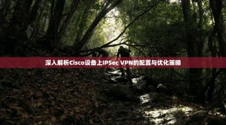 深入解析Cisco设备上IPSec VPN的配置与优化策略