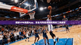 揭秘VPN海豚App，安全与风险并存的网络工具解析