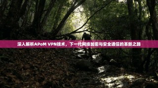 深入解析APoM VPN技术，下一代网络加密与安全通信的革新之路