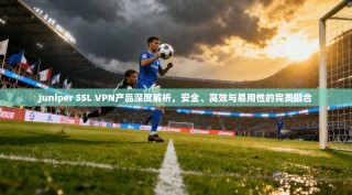 Juniper SSL VPN产品深度解析，安全、高效与易用性的完美融合