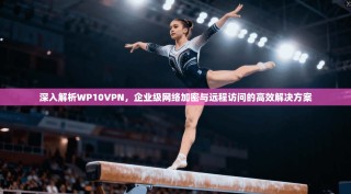 深入解析WP10VPN，企业级网络加密与远程访问的高效解决方案