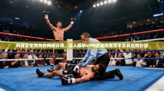 构建安全高效的网络环境，深入解析VPN逻辑隔离技术及其应用价值