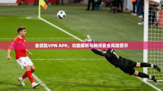 金钥匙VPN APK，功能解析与网络安全风险警示