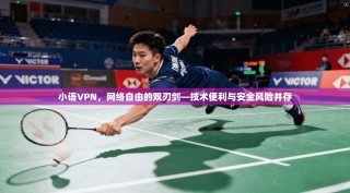 小语VPN，网络自由的双刃剑—技术便利与安全风险并存