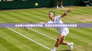 企业级VPN联通技术详解，构建安全高效的远程访问通道