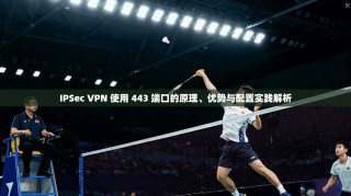 IPSec VPN 使用 443 端口的原理、优势与配置实践解析