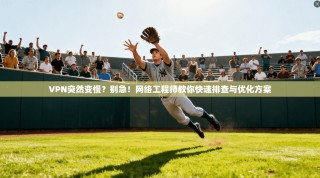 VPN突然变慢？别急！网络工程师教你快速排查与优化方案
