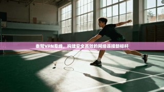 秦弩VPN专线，构建安全高效的网络连接新标杆