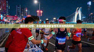 独立IP VPN，企业级网络安全性与灵活性的利器