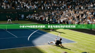 小米VPN加密技术解析，安全与隐私保护的双刃剑