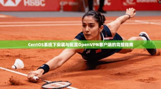 CentOS系统下安装与配置OpenVPN客户端的完整指南