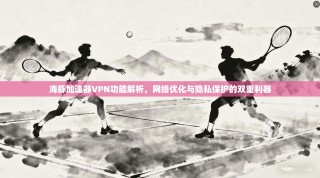 海豚加速器VPN功能解析，网络优化与隐私保护的双重利器