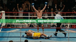 iPhone手动配置VPN，详细步骤与常见问题解析