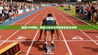 魅蓝VPN网络，便捷与风险并存的移动安全选择