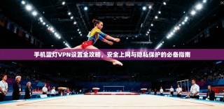 手机蓝灯VPN设置全攻略，安全上网与隐私保护的必备指南