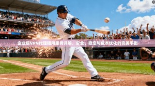 企业级VPN代理租用服务详解，安全、稳定与成本优化的完美平衡