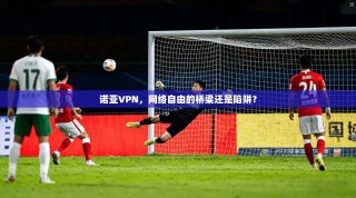 诺亚VPN，网络自由的桥梁还是陷阱？