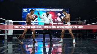 绿叶VPN付款陷阱揭秘，警惕虚假服务背后的网络安全风险