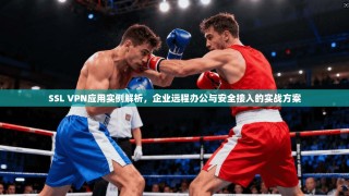 SSL VPN应用实例解析，企业远程办公与安全接入的实战方案