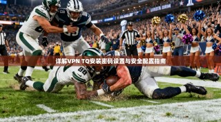 详解VPN TQ安装密码设置与安全配置指南