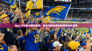 App VPN的IP地址解析，安全与隐私背后的网络技术逻辑