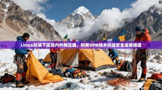 Linux环境下实现内外网互通，利用VPN技术构建安全连接通道
