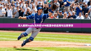深入解析hosts文件在VPN配置中的应用与注意事项