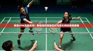 神龙VPN流量用完？教你如何高效应对与优化网络使用策略