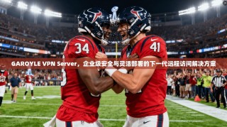 GAROYLE VPN Server，企业级安全与灵活部署的下一代远程访问解决方案
