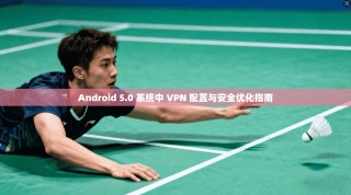 Android 5.0 系统中 VPN 配置与安全优化指南