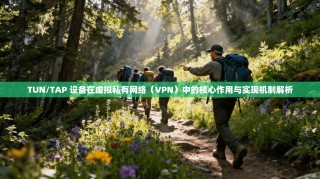 TUN/TAP 设备在虚拟私有网络（VPN）中的核心作用与实现机制解析