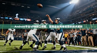 Android平台VPN接口详解，实现安全网络连接的技术解析