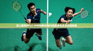 深入解析MPLS VPN中的CE与PE设备角色及其协同机制