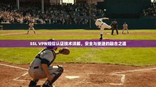 SSL VPN短信认证技术详解，安全与便捷的融合之道
