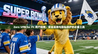 Zero VPN for PC 用户指南，安全连接与隐私保护的必备工具
