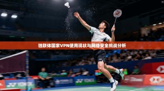 独联体国家VPN使用现状与网络安全挑战分析