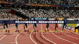 手机VPN与番茄加速器，网络自由与效率的双重利器