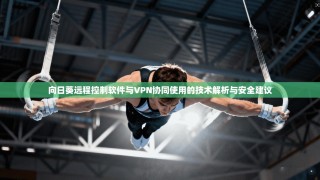 向日葵远程控制软件与VPN协同使用的技术解析与安全建议