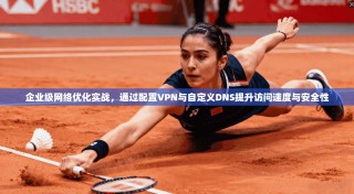 企业级网络优化实战，通过配置VPN与自定义DNS提升访问速度与安全性