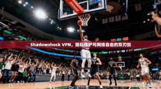 Shadowshock VPN，隐私保护与网络自由的双刃剑