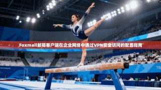Foxmail邮箱客户端在企业网络中通过VPN安全访问的配置指南