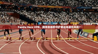 Panda Hero VPN，网络自由的守护者还是潜在风险？